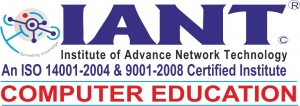 Network, CCNA Training at IANT, Chennai, Call 9381407007