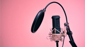 Multilingual Voice Over Services
