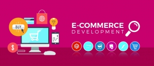 Best ecommerce website development Company in Delhi