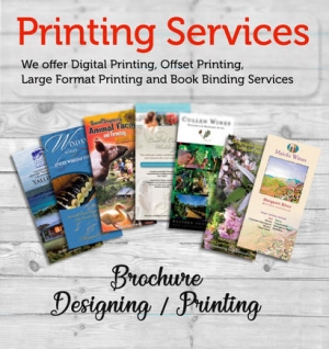 Brochure Printing in Hyderabad at Prixelprinting.in