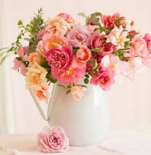 OyeGifts - Best florist Kolkata With Same Day Delivery