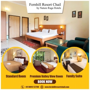 Best Hotel in Chail for Family