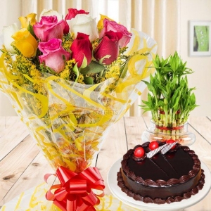 Send Birthday Gifts to Mumbai via OyeGifts