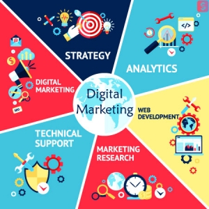 Fully 360° Digital Marketing Service Agency based in India