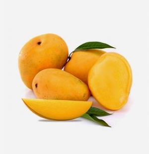King Alphonso Mango Online in India | Alphonso Mangoes