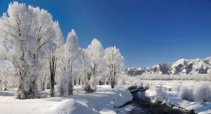  Kashmir Tour Packages for 3N/4D at Rs. 9999