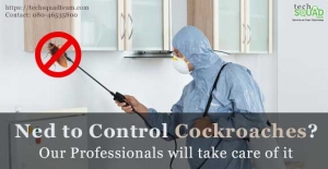 Book cockroach control services in Bangalore