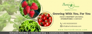 Best Hydroponic Agriculture Services