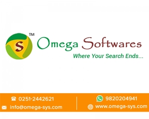 Web Based Online Money Transfer Software Development Company