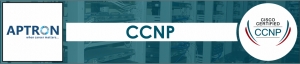 CCNP Course in Gurgaon