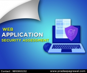 Web Application Security Assessment
