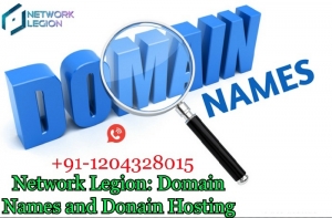 Get Best Price Domain Names and Domain Hosting | Network Leg