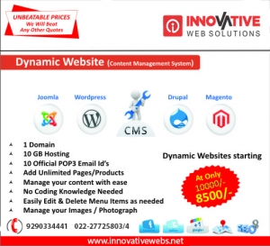 .Dynamic websites