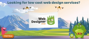 Low Cost Web Design Services 