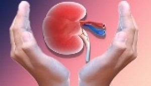 Ayurvedic Medicines for Kidney Damage