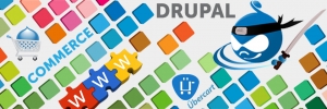 Drupal developers in india