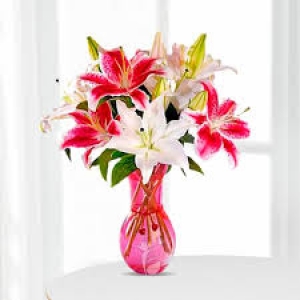 OyeGifts - Best florist Lucknow With Same Day Delivery