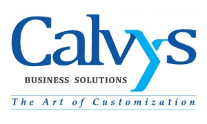 Web Development Services - Calvys Business Solutions