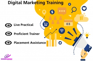digital marketing training and placement | Digital Marketing