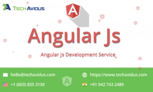  Hire AngularJs Developer At Hourly Rate