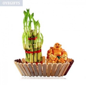 Send mother’s day Gifts to Faridabad via OyeGifts