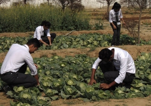 BEST B.SC AGRICULTURE  COLLEGE IN UTTRAKHAND 