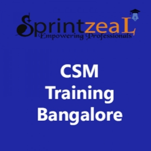 CSM Training in Bangalore