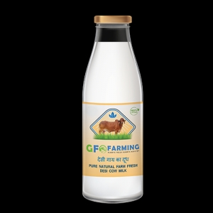 Pure & Organic Cow Milk in Gurgaon | GFO  Farming