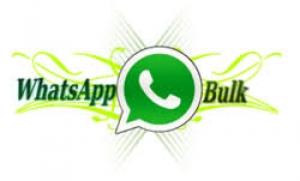 whatsapp message services updates in mumbai.
