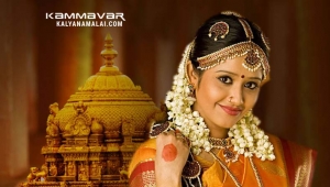 Kammavar Telugu Matrimony service
