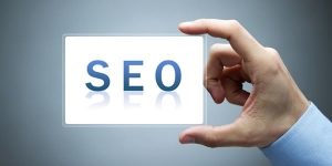 Contact SEO Company in Delhi and enhance the web ranking of 