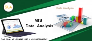 Get Best Data Analyst and MIS Training in Delhi