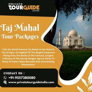 About Private Tour Guides India
