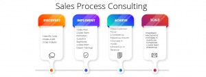 Sales Process Consulting
