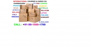 Excess baggage Courier Shipping Service from Panchkula Zirak