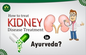 how to treat kidney diseases in ayurved?