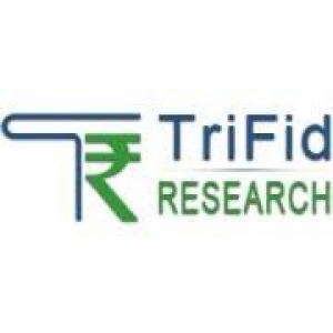 Get Accurate Currency Trading Tips | TriFid Research