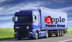 PUNE APPLE PACKERS AND MOVERS 