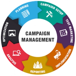 election campaign company|election campaign management|elect