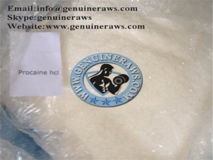 Procaine Hydrochloride Powder info@genuineraws.com