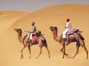Best of Rajasthan Tour Packages