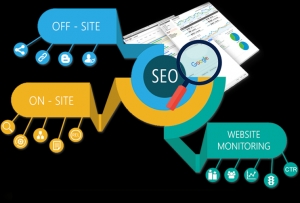 Seo Services in Petersburg city|+1 855 888 6457