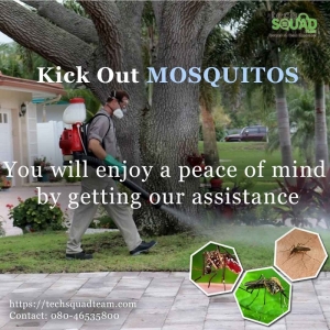 Wipe out the irritating mosquitoes from your Home