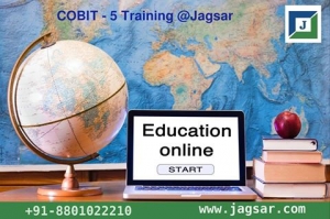 Online  COBIT 5 Certification Training 