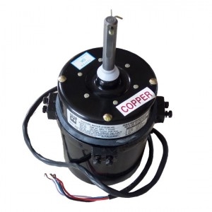 Manufacturer, Exporter & Supplier of Electric Motor  in Fari