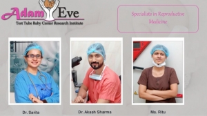 Best IVF Treatment in Noida