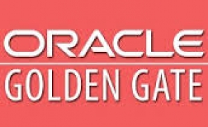 Oracle Golden Gate Online Training From India