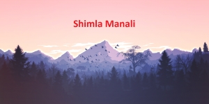Shimla Kullu Manali Honeymoon Tours