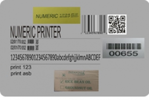 Industrial Inkjet Barcode Printer in Bangalore, Call:  +91-9