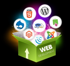 Best Web Development Services